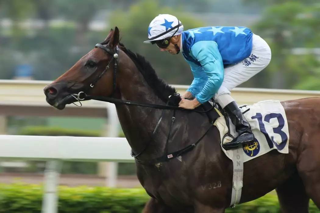  Ning新星刷新纪录表现突出，C9前途光明！气势如虹延续