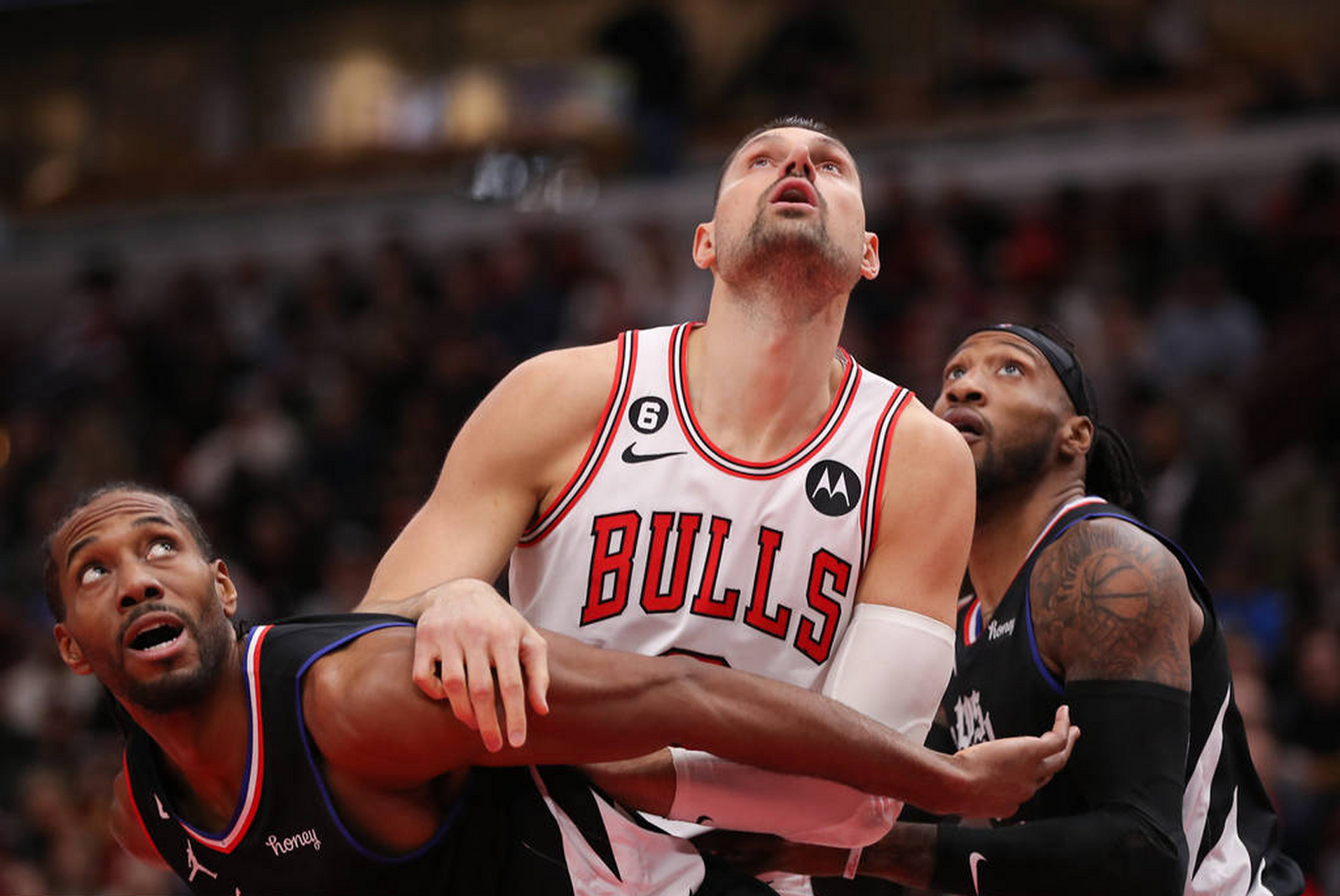 开云电竞- 公牛队全明星 